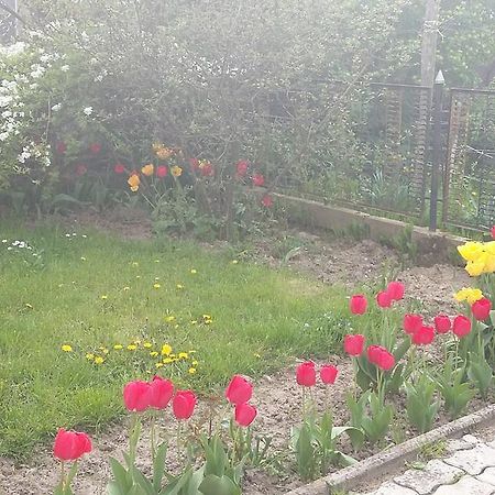 Alom Kucko Apartman Zalaegerszeg Exteriér fotografie