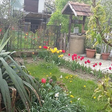 Alom Kucko Apartman Zalaegerszeg Exteriér fotografie