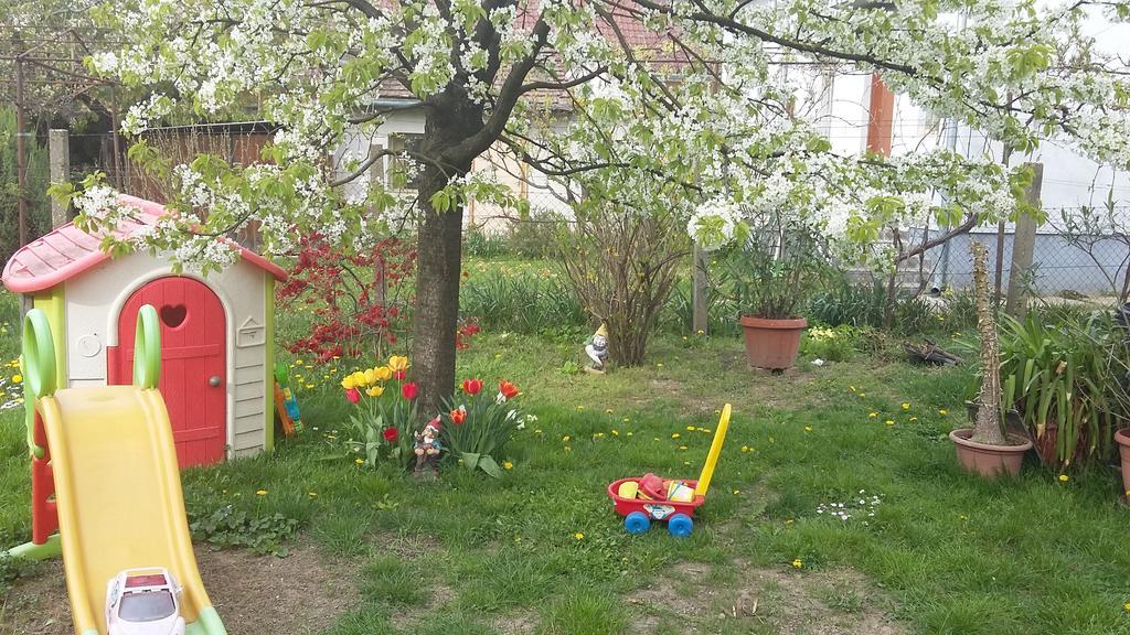 Alom Kucko Apartman Zalaegerszeg Exteriér fotografie
