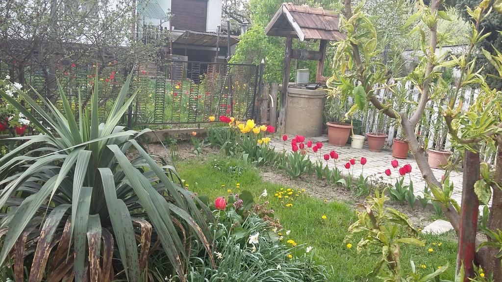 Alom Kucko Apartman Zalaegerszeg Exteriér fotografie